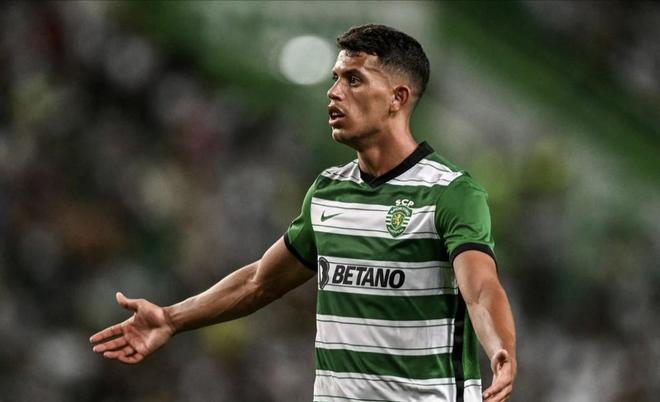 迷的炮轰 迷的炮轰